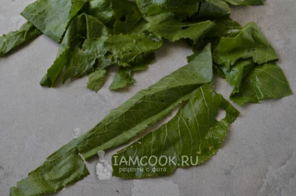 Соус (закуска) из листьев хрена с грецкими орехами